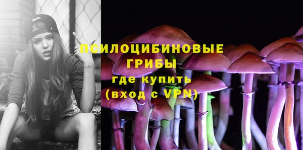 твердый Белокуриха