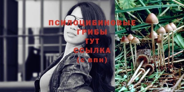прущий лед Балахна