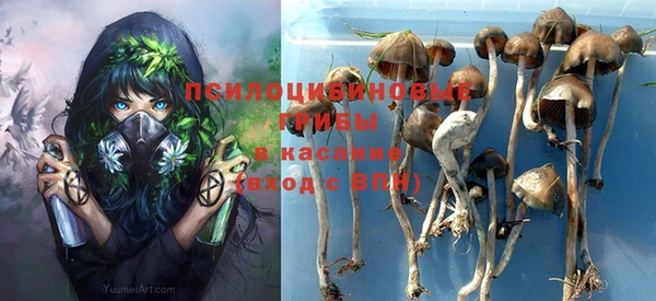 твердый Белокуриха