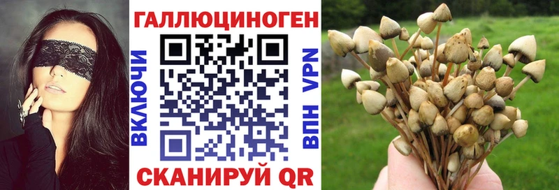 Псилоцибиновые грибы ЛСД  Купить где  Мглин 